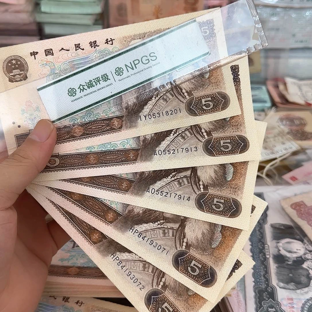 805直板5张散张…………