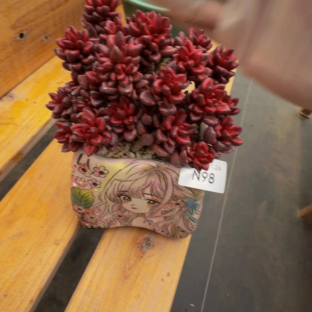 雪****声n n n n n n n n 98