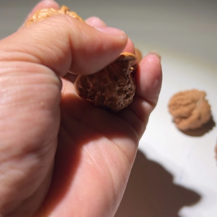 文玩核桃把件野狼狮子头