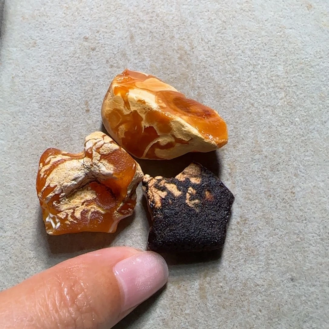 未镶嵌定制琥珀下****鱼专拍