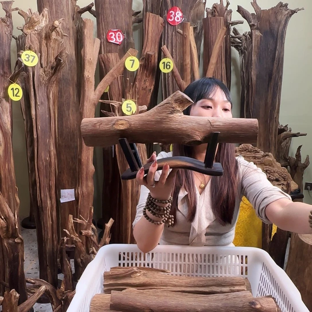 沉香沉香碎屑天然沉香原材料香料熏料