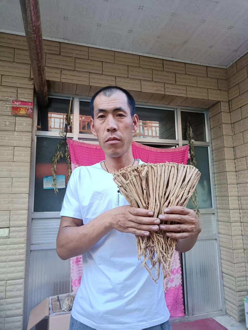 甘肃岷县原产地党参条可用于煲汤泡水
