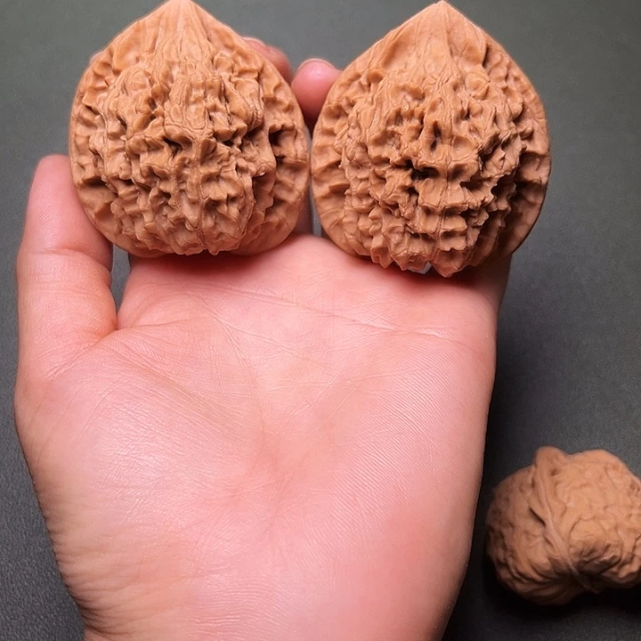 涞水山地果麒麟纹官帽