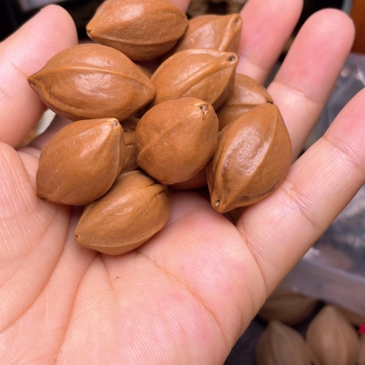 手串/手链橄榄核橄榄核铁核1.8左右