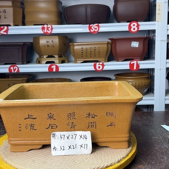 花盆紫砂你在一起