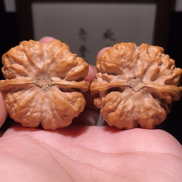 ****。核桃把件蛤蟆头