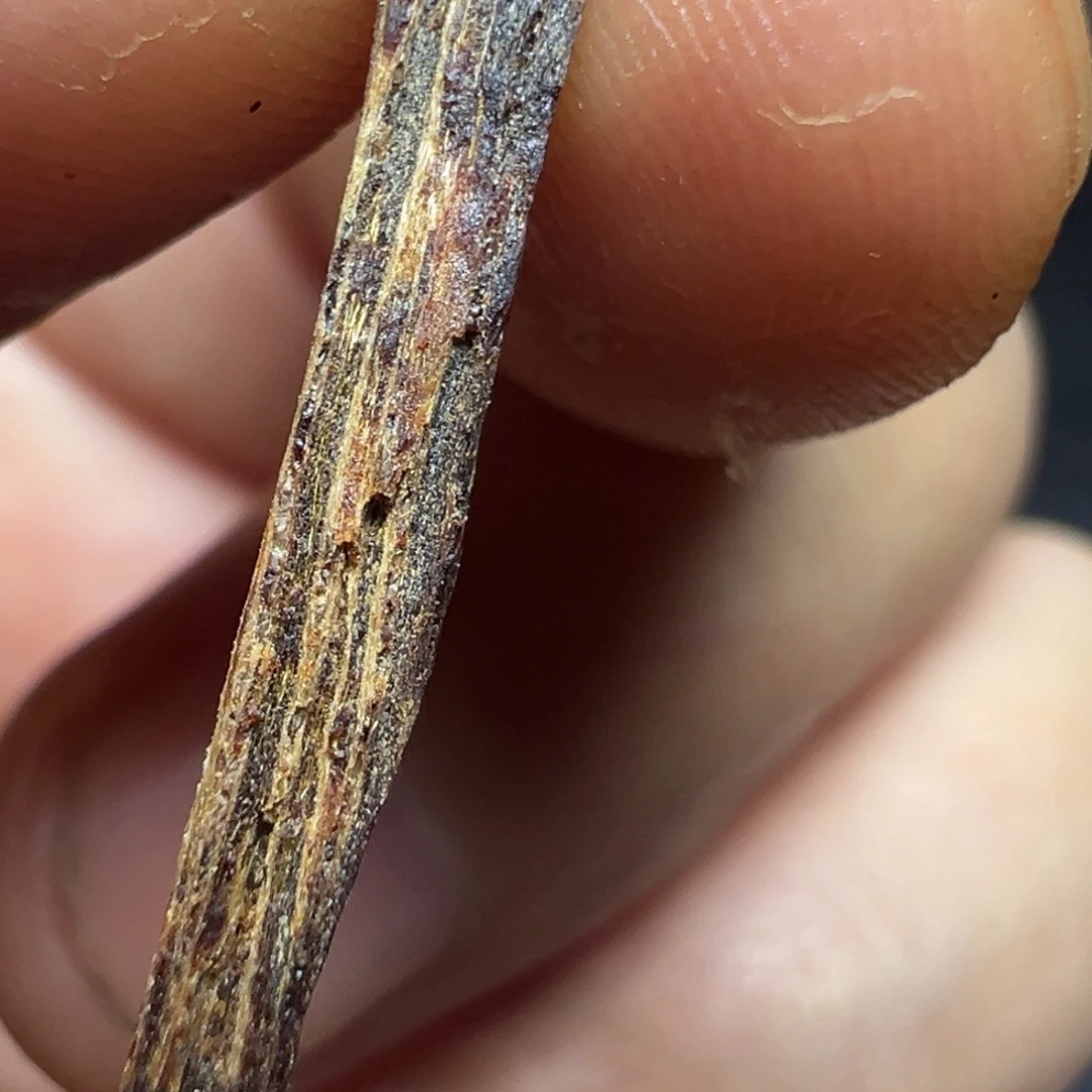 象***抖沉香碎屑沉香海南沉水黑棋树心油0.2g