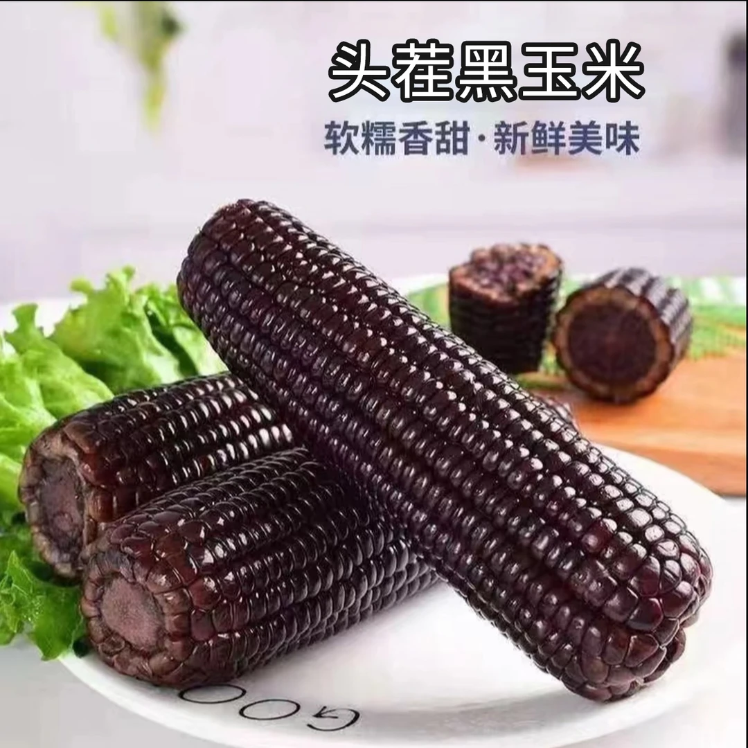 大棒 25年头茬黑糯玉米(260-320g)拍8送2发10支试吃2支 工厂直发