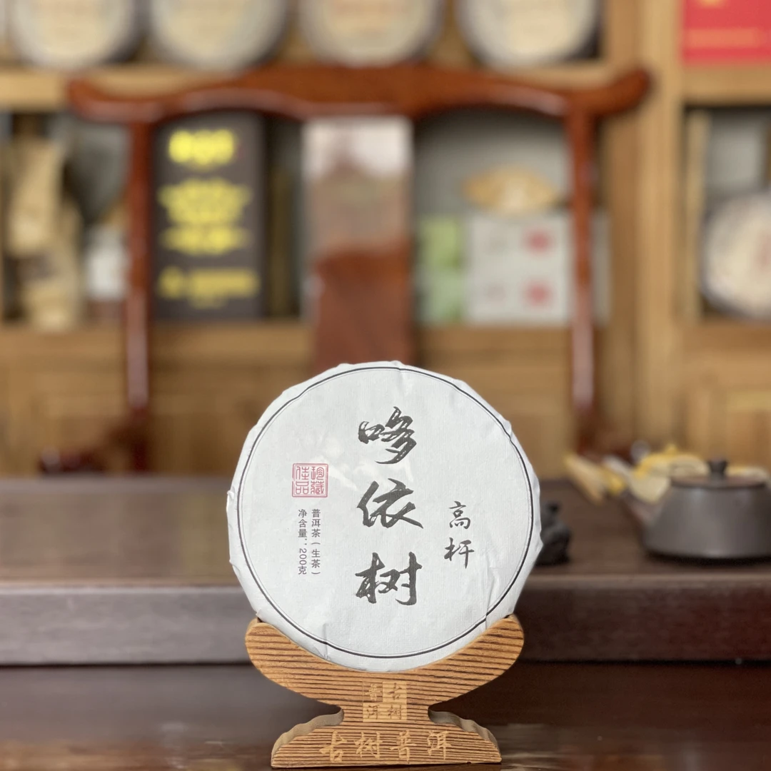 2025年 哆依树高杆 古树头春纯料 普洱生茶饼