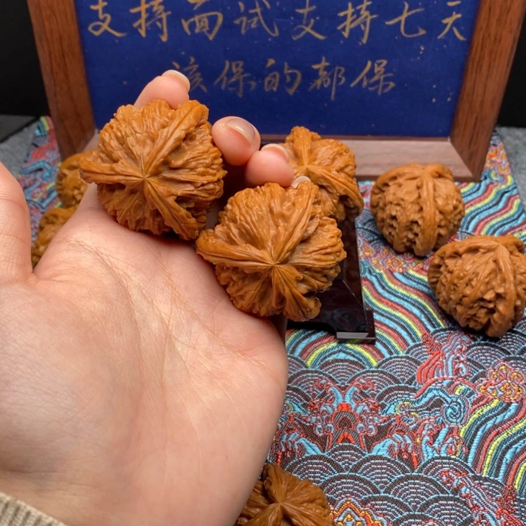 【闪购商品】小*哥白狮子1111111