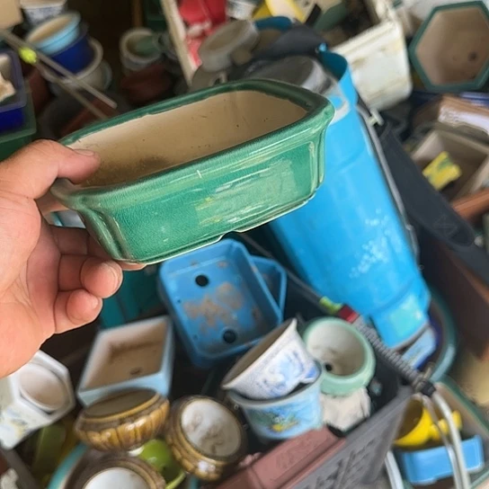 你说了就可以咯吧不要想的