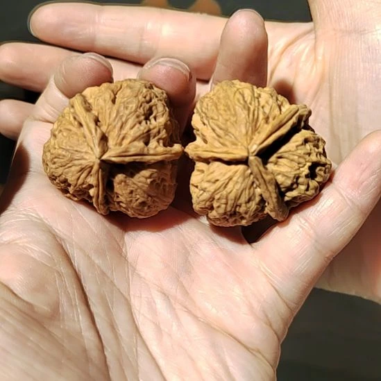 文玩核桃把件福利三棱37尺