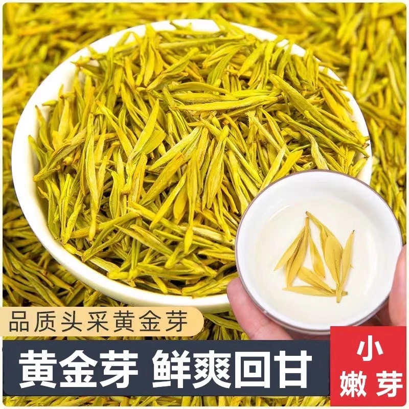 头采 黄金芽2025新茶春茶明前原产地豆香兰花香高山绿茶叶