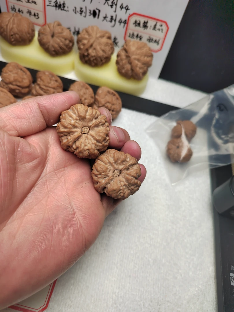 金蟾蛤蟆头文玩核桃