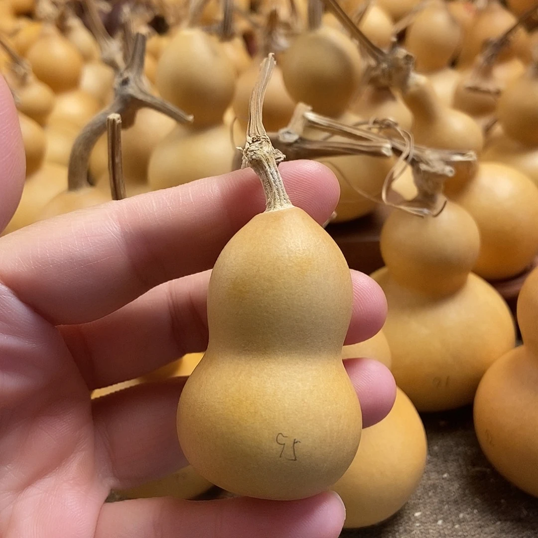 文玩葫芦 完美主义者 慎拍95