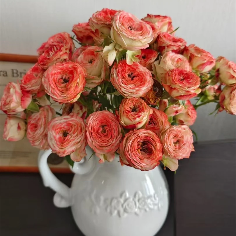 野草莓 多头玫瑰 十支装 【零度以下不拍保温棉不售后】