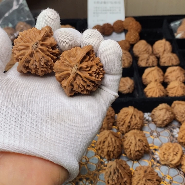 文玩核桃把件如***.秦岭野生壮元冠