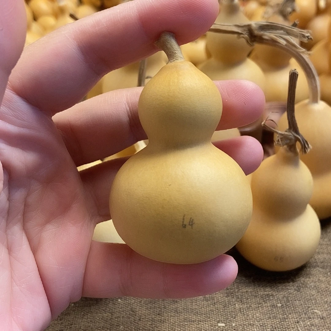 文玩葫芦 完美主义者 慎拍64