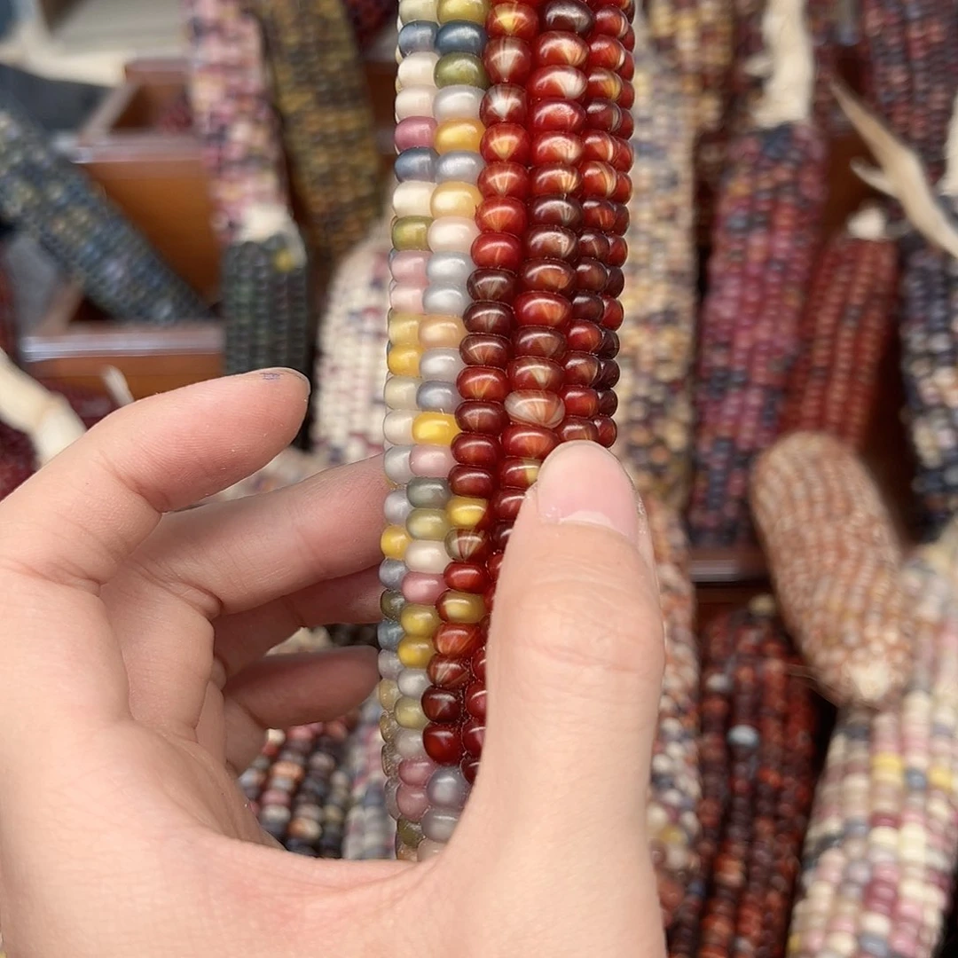 ?****?文玩玉米毛料精品