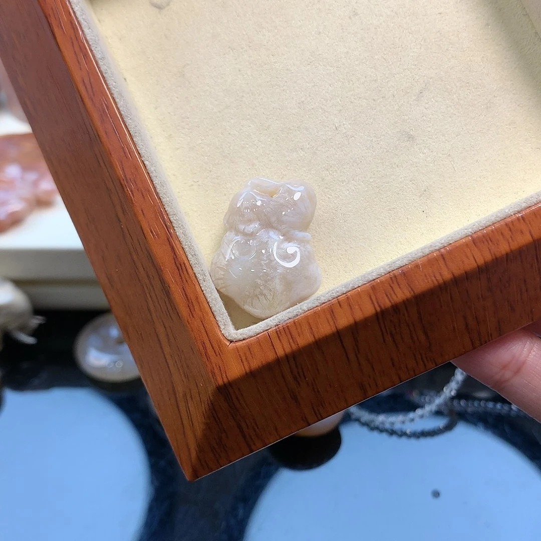 颈饰未镶嵌硅化珊瑚（珊瑚玉）30
