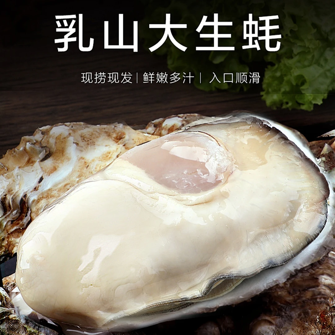 乳山生蚝新鲜水产正宗乳山生蚝鲜活牡蛎海蛎子海鲜5/10斤顺丰包邮
