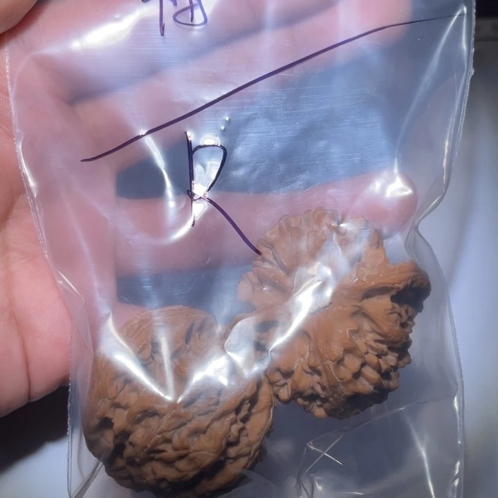 R***把件核桃苹果园全品不支持退换