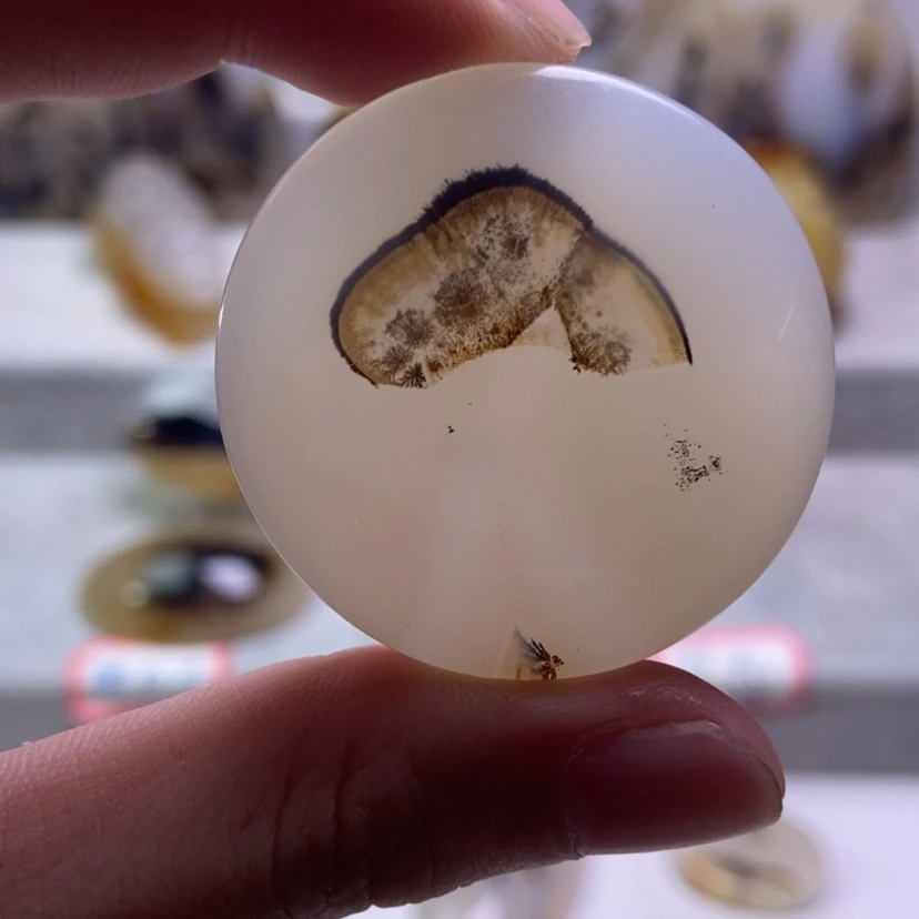 【闪购商品】未镶嵌玛瑙/玉髓珠宝奇石