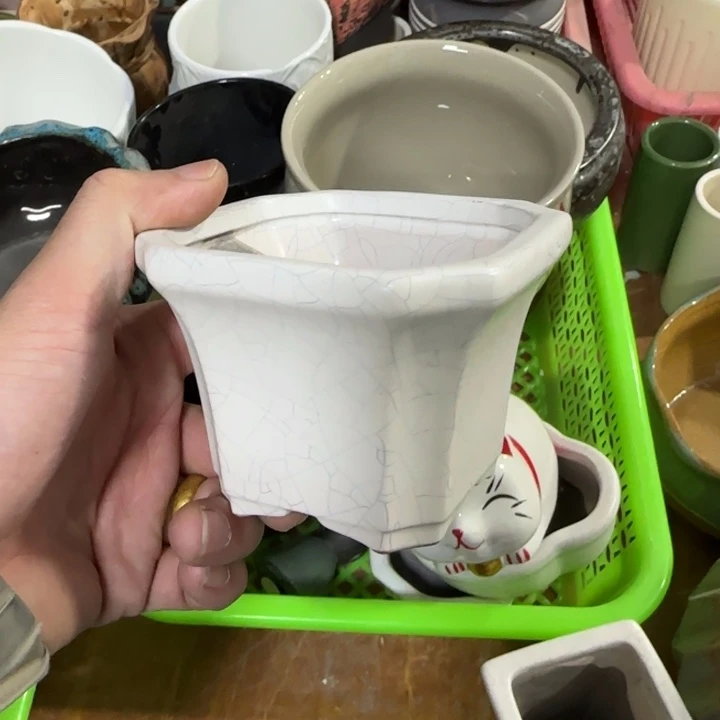 《所有单满15发（花盆）》8×7