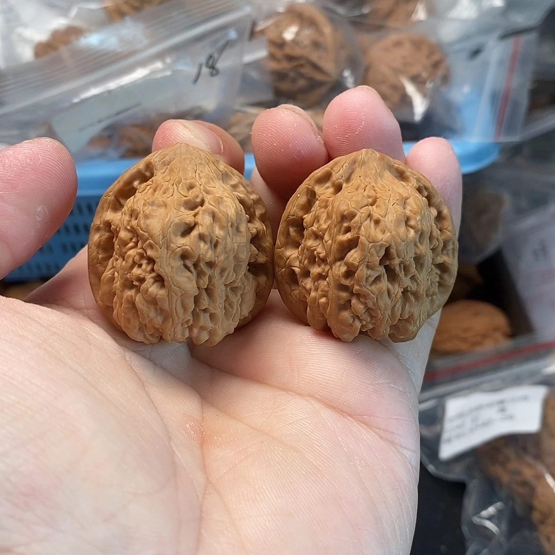 1文玩核桃龟甲蟾王35-230