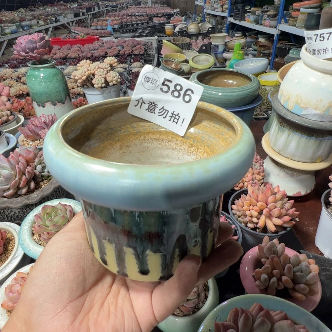 特价花盆满50发货内口10