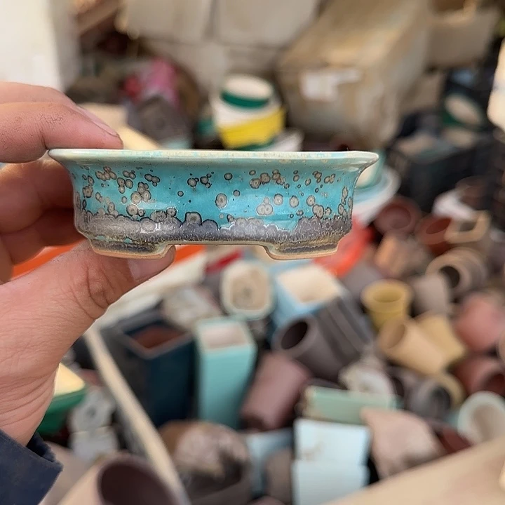 在干嘛的我还以为自己没看完这篇论文我