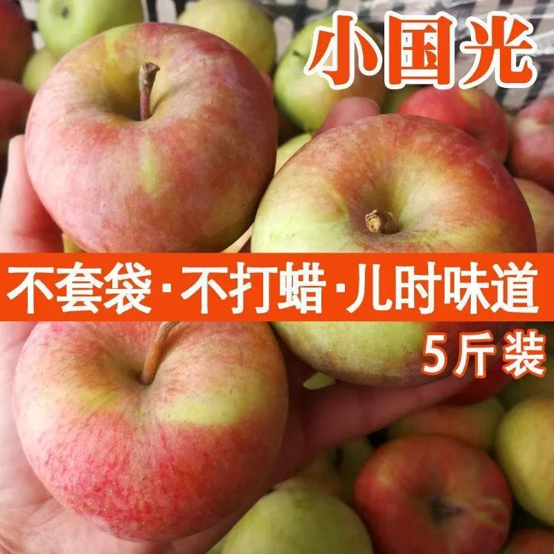 正宗老树国光苹果小国光脆爽酸甜新鲜当季孕妇水果不套袋不打蜡