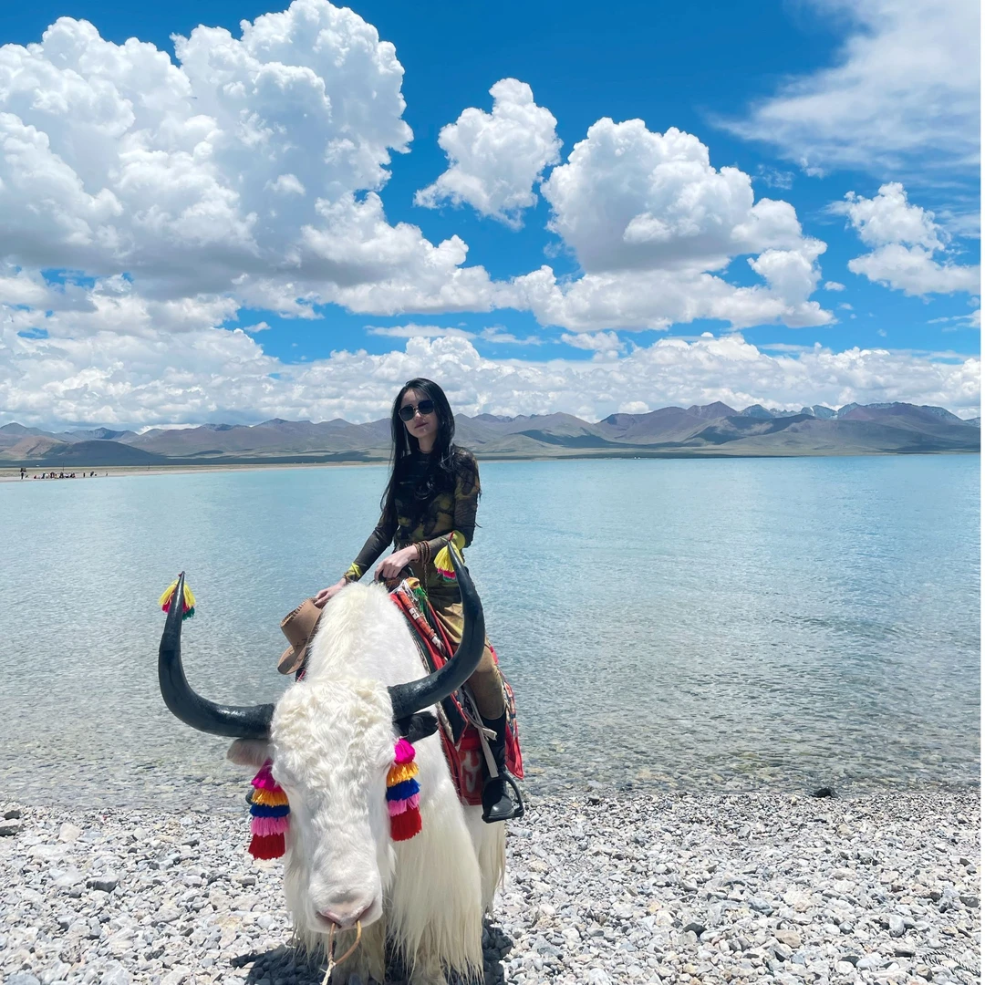 燃.武夷岩茶定制链接呀呀呀呀呀