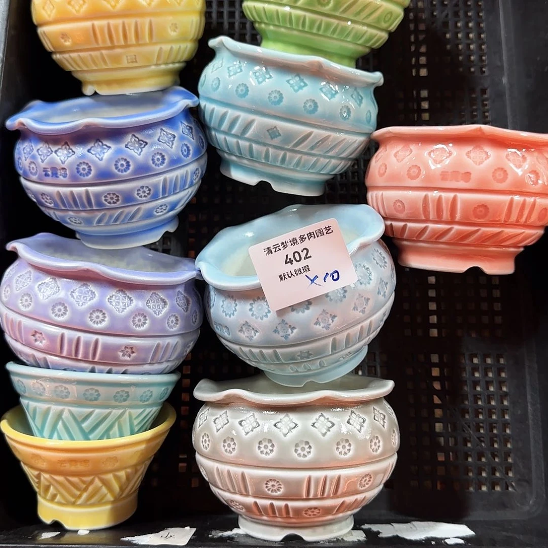 【闪购商品】红陶素**年402 10个