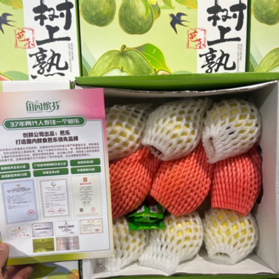 【顺丰包邮】自然成熟芭乐一箱3斤左右（共9颗左右6颗奶油3颗草莓）广东省