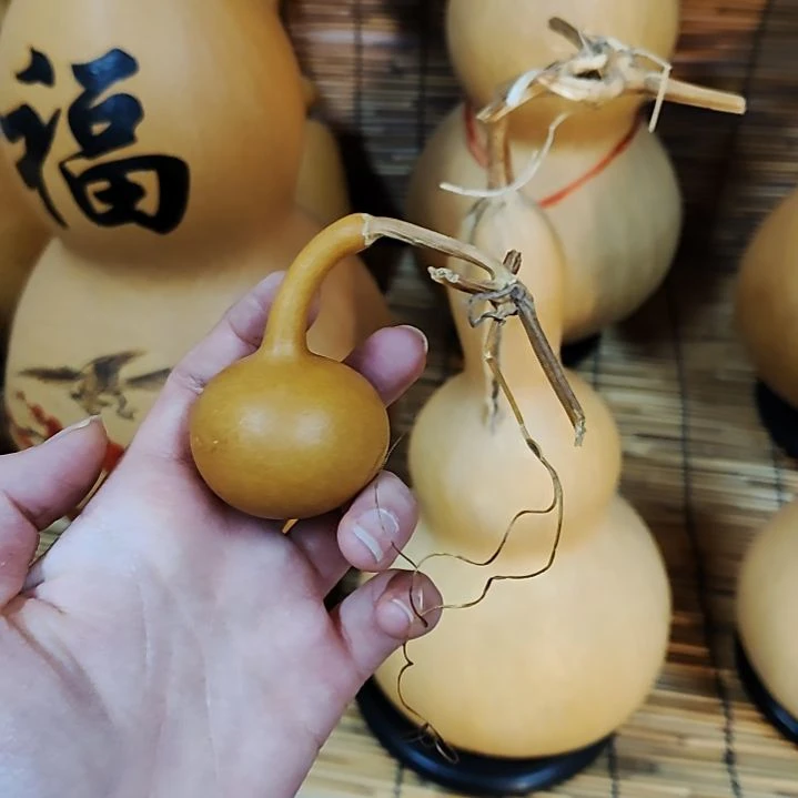 知****旧他他他他他他他他他他