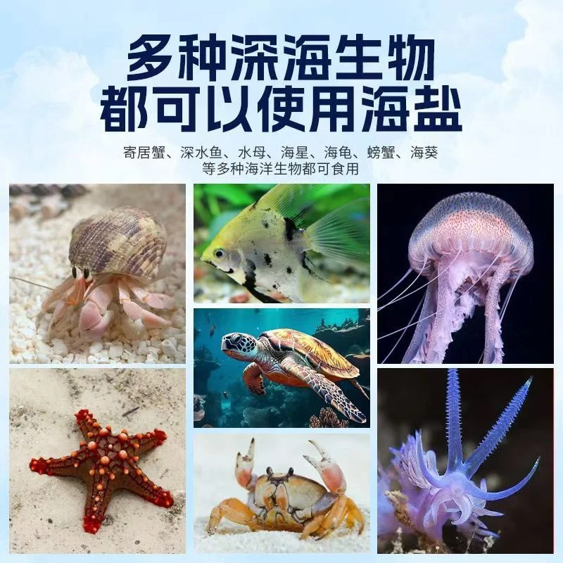 海盐（沙蟹寄居蟹专用）