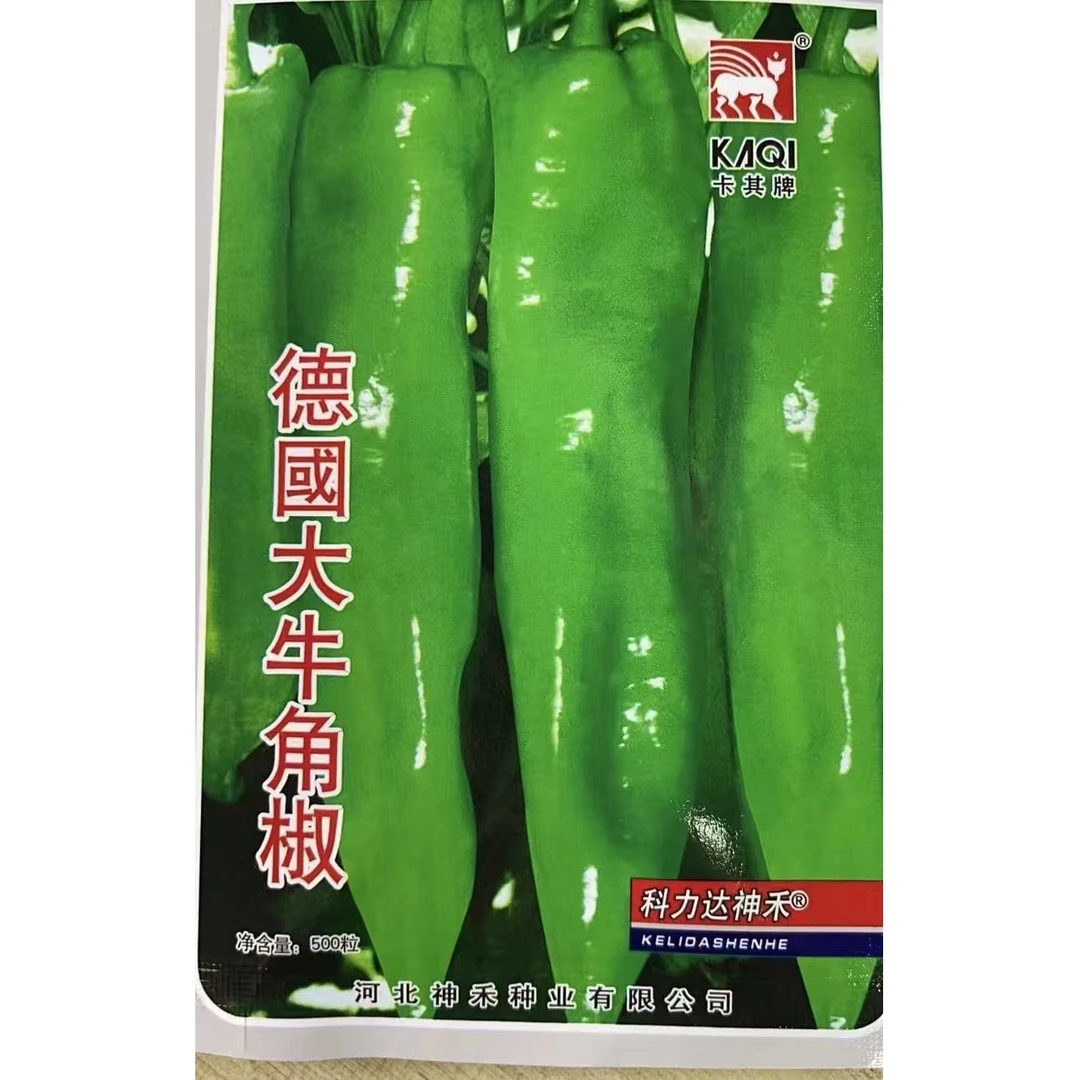 德国大牛角椒种子辣椒种子全阳台易种四季花卉辣椒籽盆栽蔬菜种子