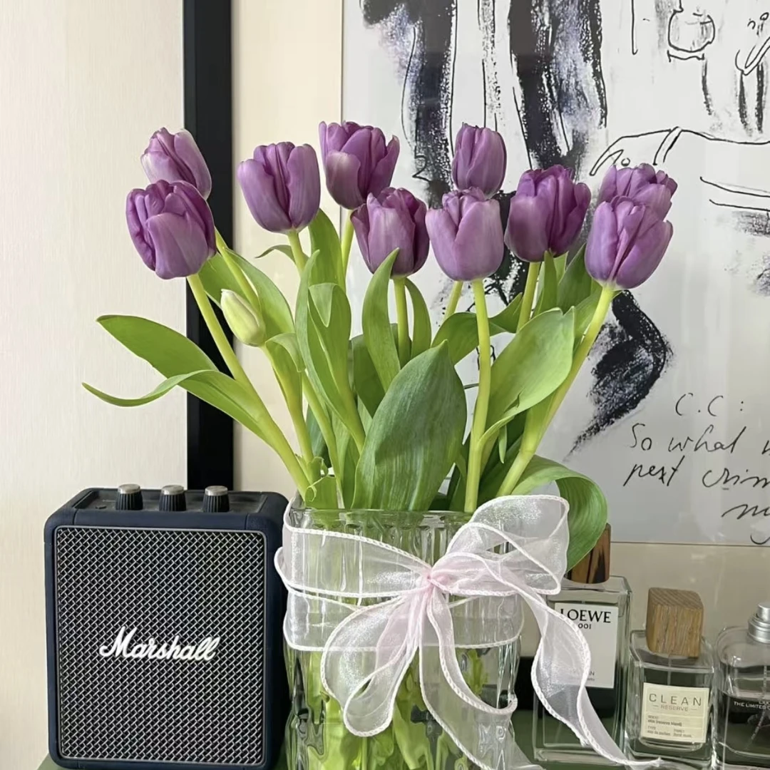 【紫衣王子·郁金香】浪漫本漫！种球多年生新手好养绿植盆栽