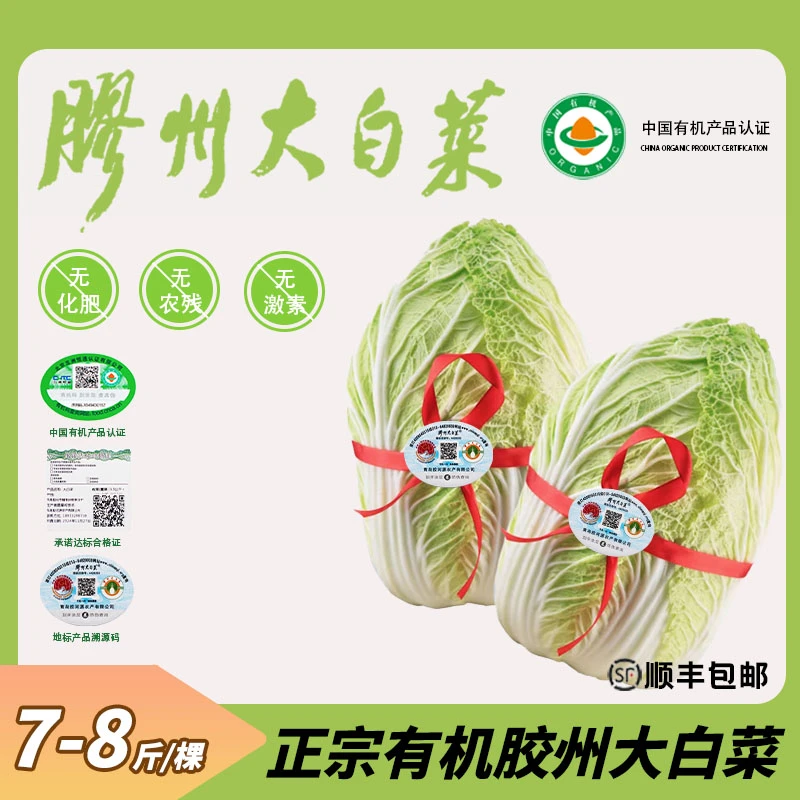 胶河源【7-8斤】山东特产胶州大白菜正宗农家自种大白菜胶州大白菜