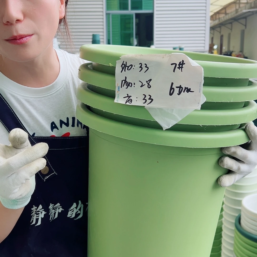 四季盆7#果绿4个无托