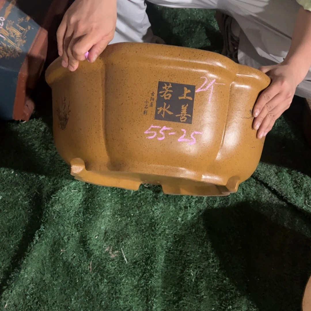 紫砂花盆地*?紫砂花盆