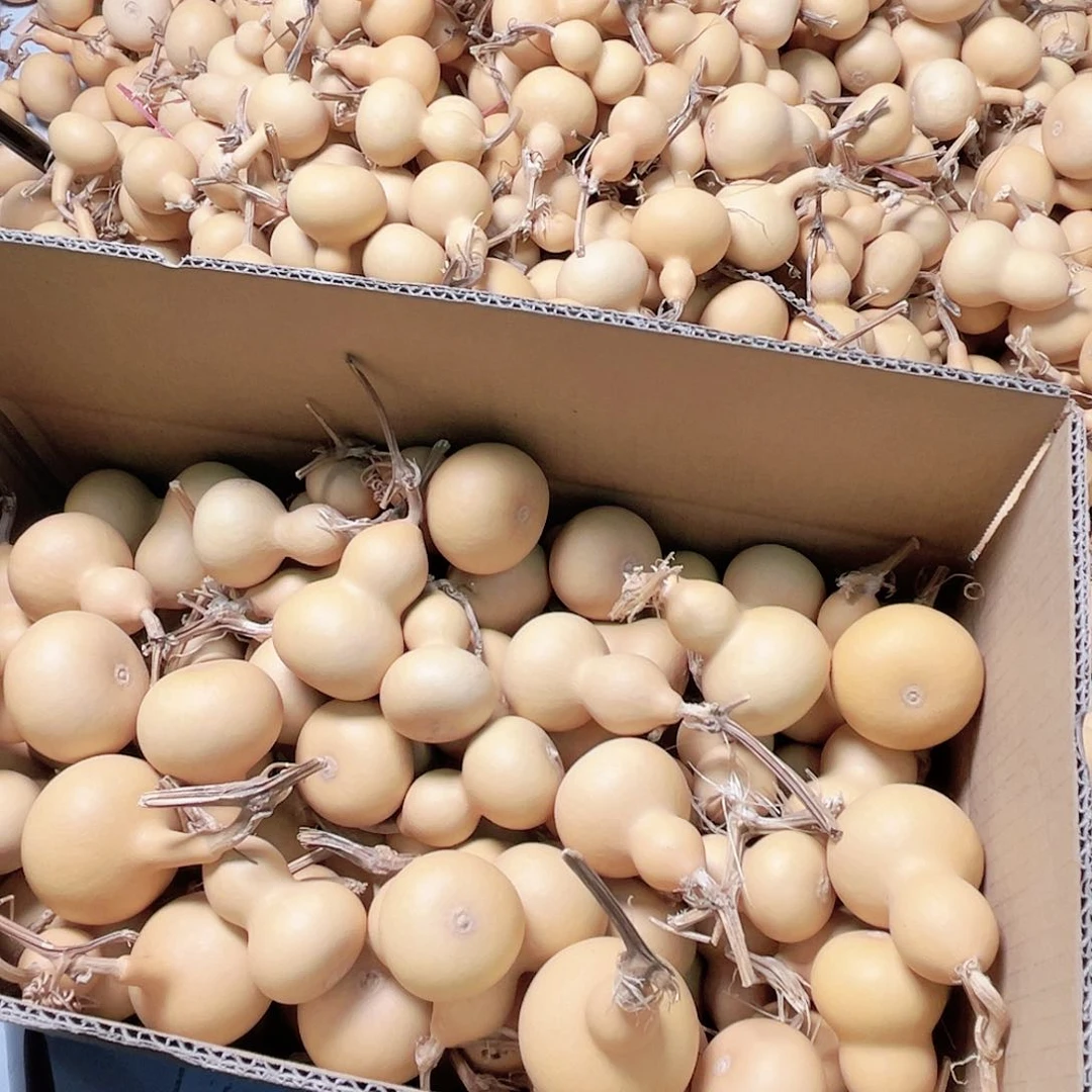 孔*庆天然手捻小葫芦200个