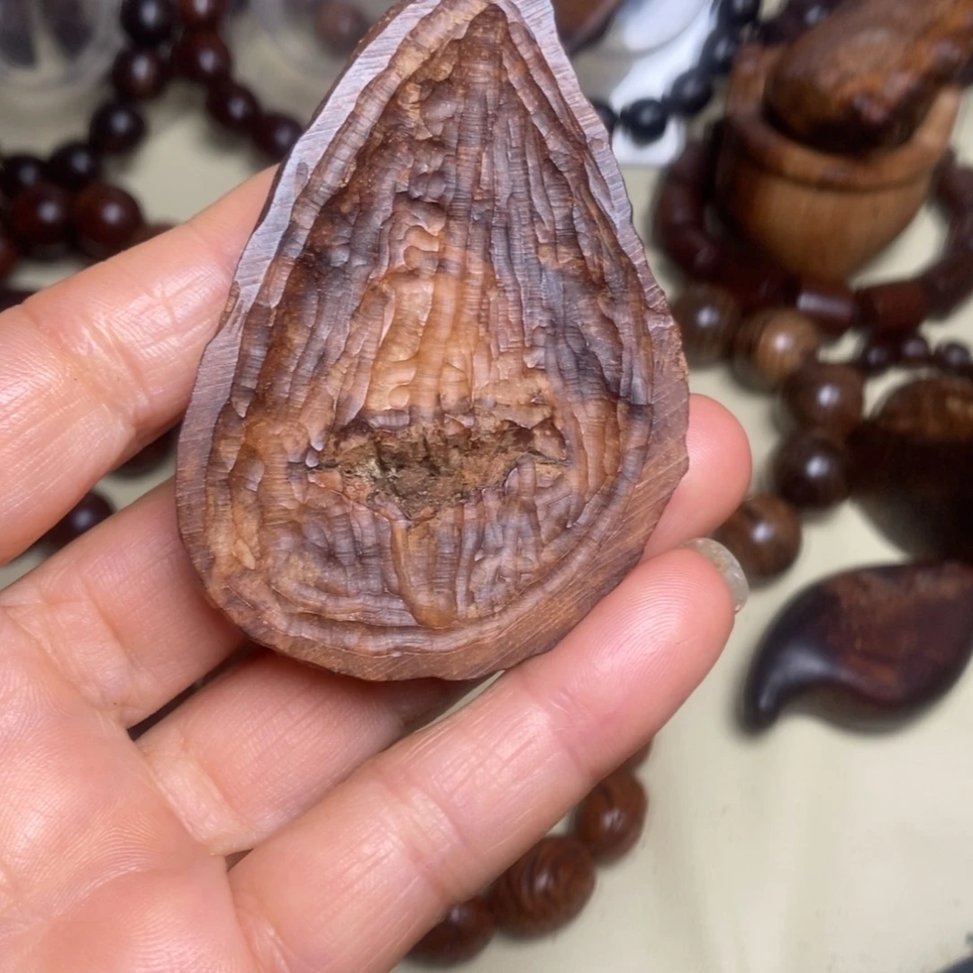 贡木把件贡木贝壳