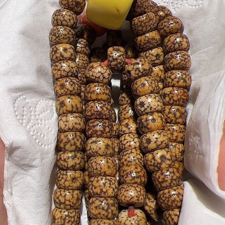 香榧木在家了一个