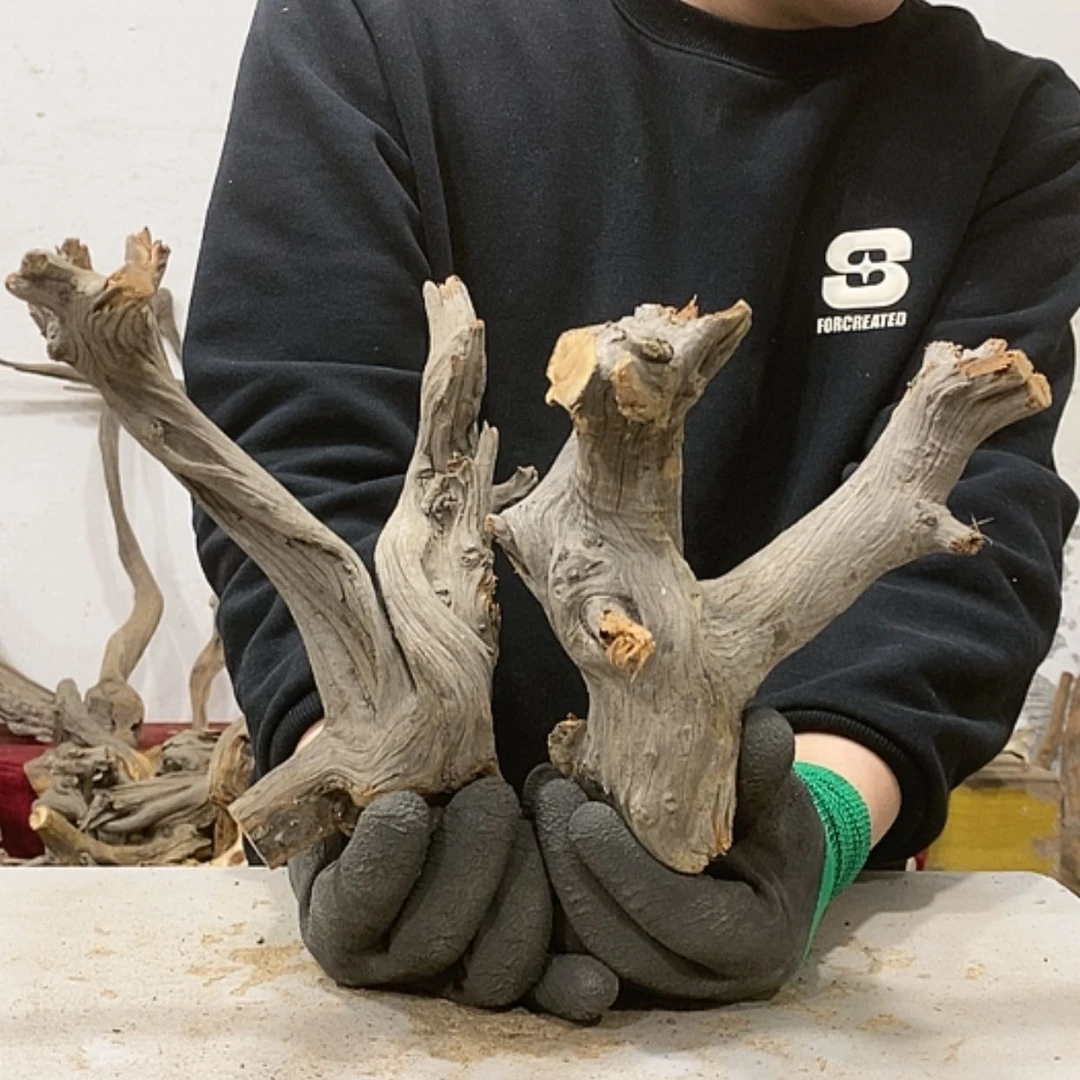 【闪购商品】柏木木****店我们都是好孩子