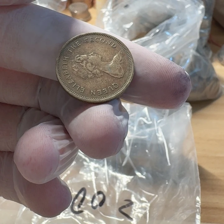 容***忍其他普通金属20枚，一共20枚，女王5豪