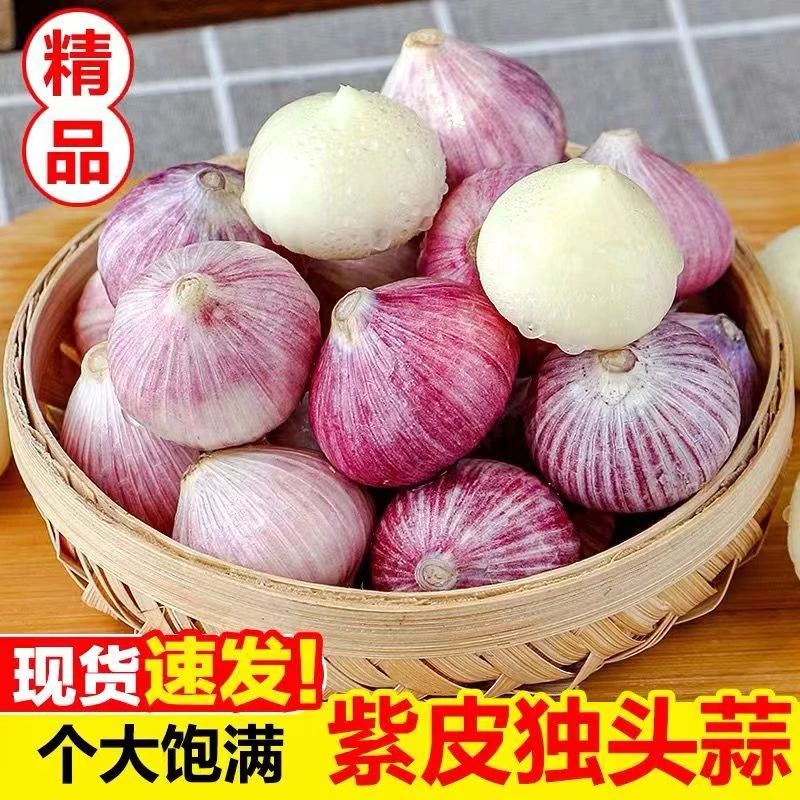2025云南正宗紫皮独头蒜批发独蒜新鲜蔬菜农家大蒜头2/3/5斤包邮