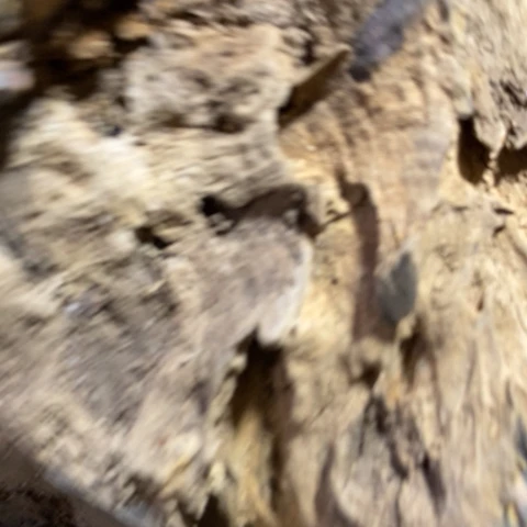 阿***0贡木把件定制12357668962