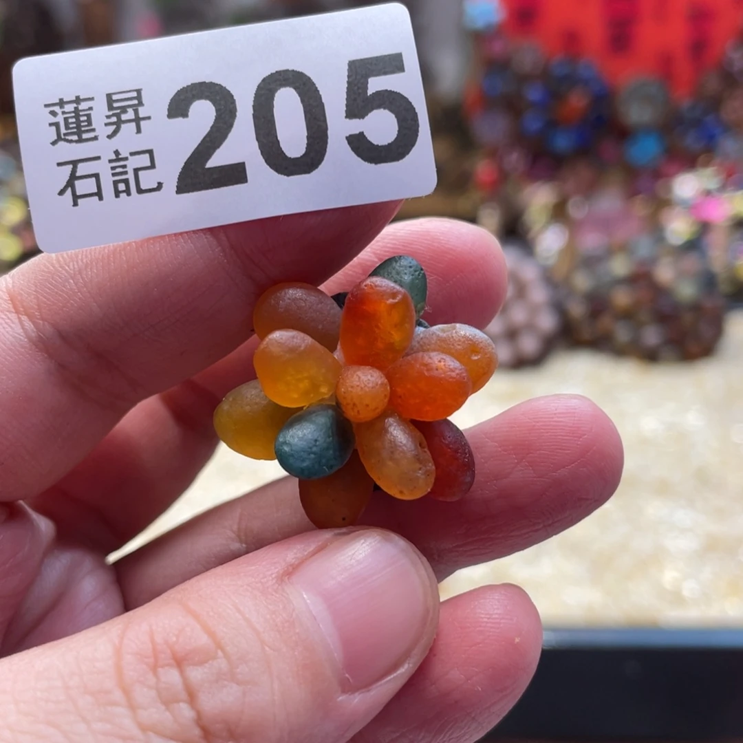 核桃木/黑胡桃（胡桃木）205